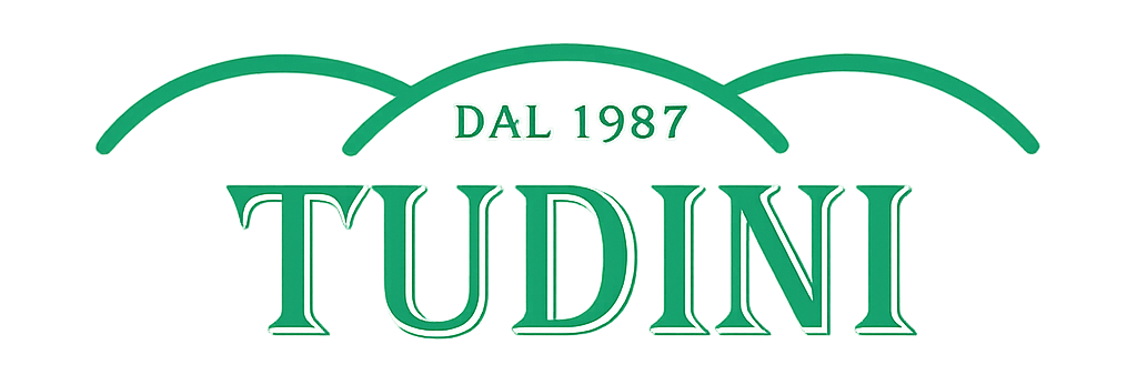 Tudin
